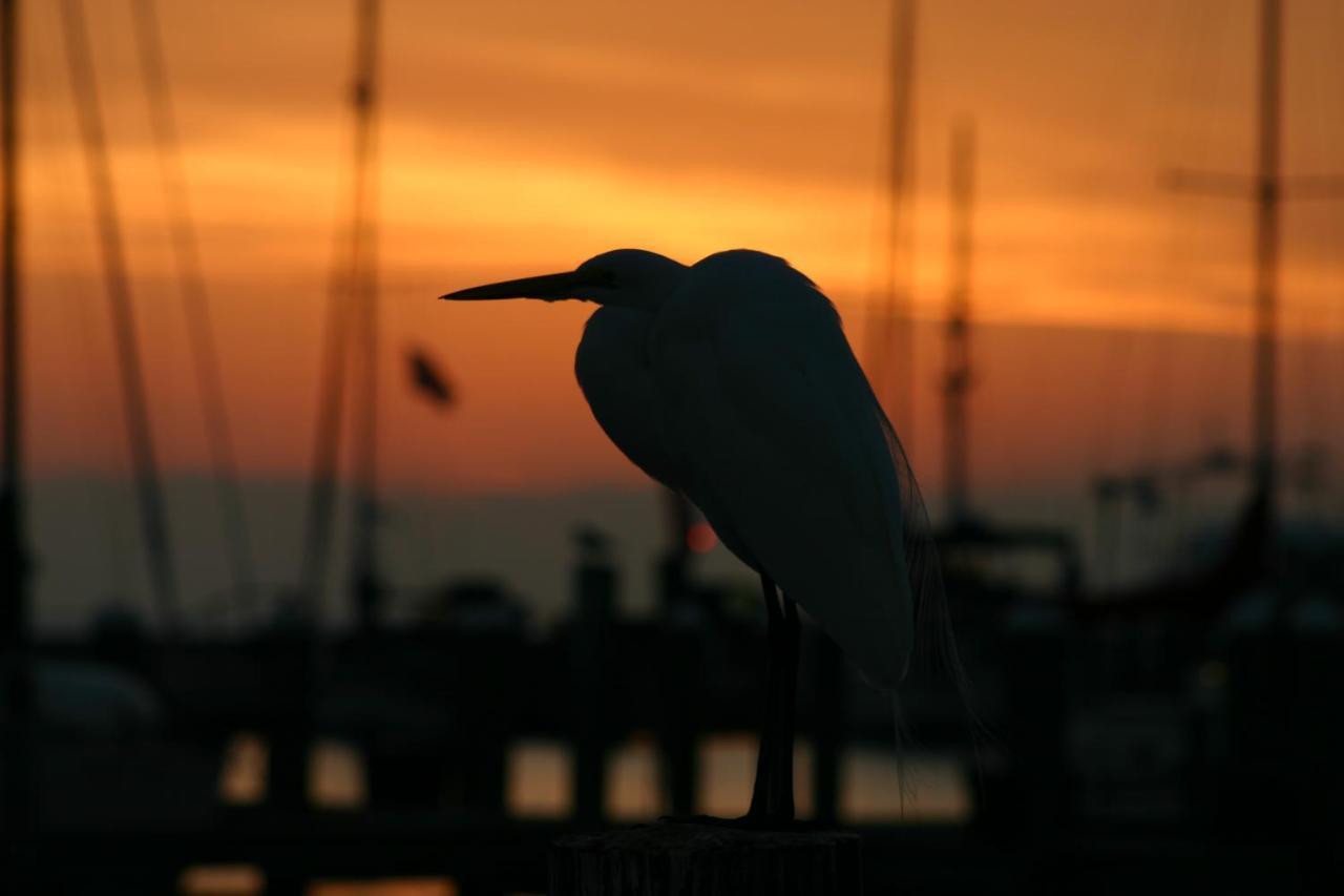 Whooping Crane Manor B & B Rockport Esterno foto