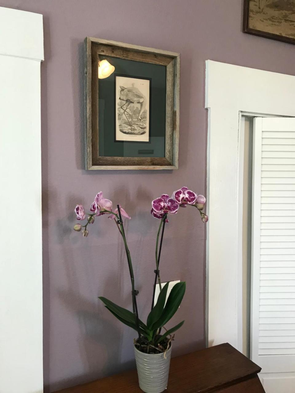 Whooping Crane Manor B & B Rockport Esterno foto
